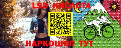 jwh Новозыбков