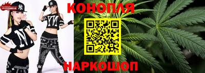 jwh Новозыбков