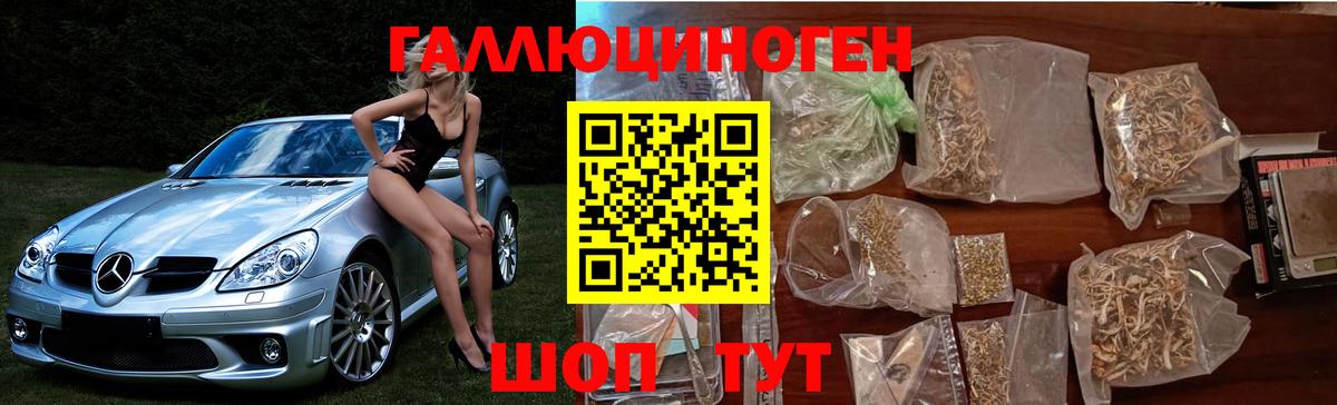 Галлюциногенные грибы Psilocybine cubensis Евпатория