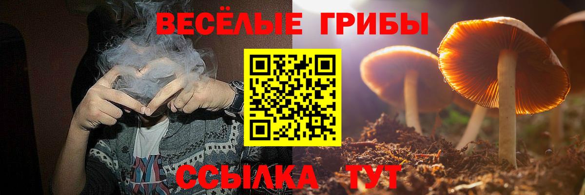Галлюциногенные грибы Psilocybe  Псилоцибиновые грибы прущие грибы  Евпатория  Вход с VPN 
